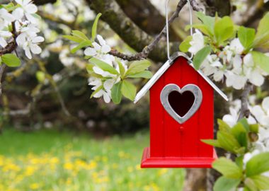 Insektenhotels und Vogelhäuser bauen und verkaufen