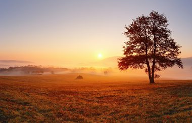 Nebenjob auf dem Bauernhof