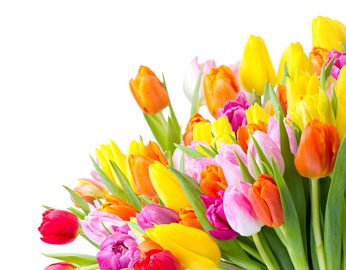 Nebenjobs bei Blume 2000