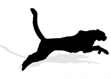 Nebenjobs bei Puma