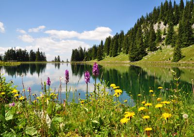 Arbeit und Erholung auf einer Alm in Österreich