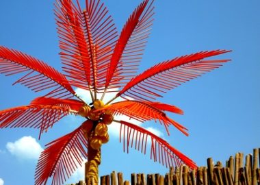 Aushilfe im Beachclub – Arbeiten unter Palmen