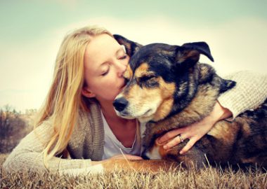 Hund, Katze und Co: Ein Traum-Nebenjob als Tierpfleger