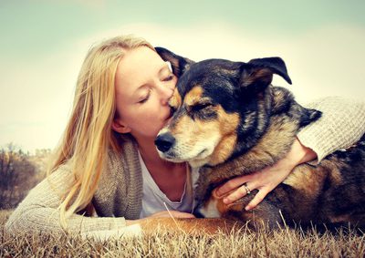 Hund, Katze und Co: Ein Traum-Nebenjob als Tierpfleger