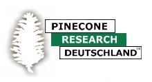PineCone Research seriös? Das solltest du vorher wissen!