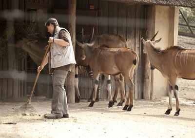 Tierpfleger Gehalt: Ausbildung, Lohn und Verdienst!