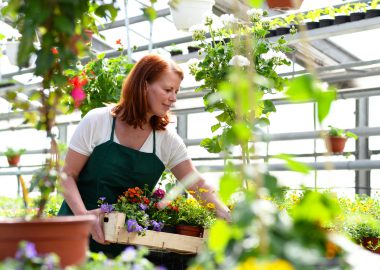 Gärtner Gehalt: Ausbildung, Lohn und Verdienst!