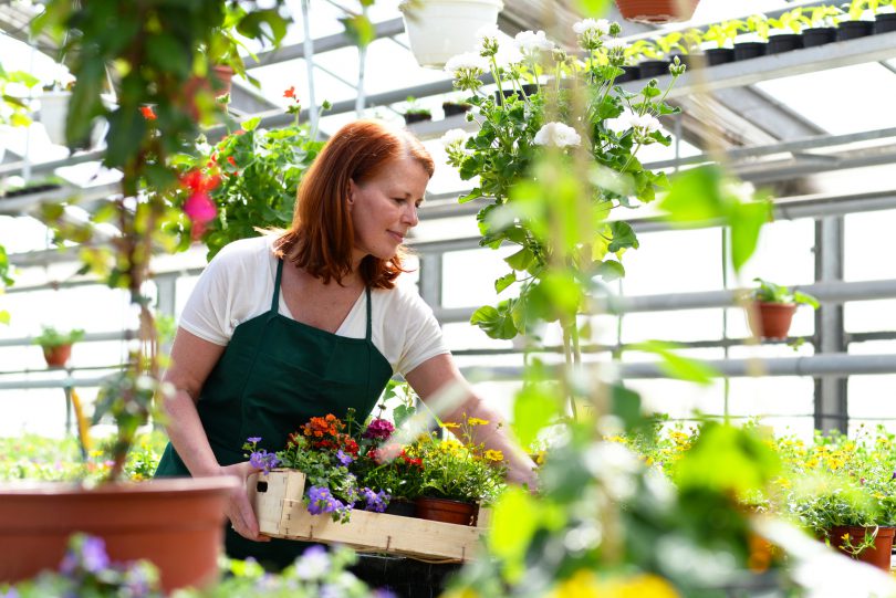 Gärtner Gehalt Ausbildung, Lohn und Verdienst! Heimarbeit.de √