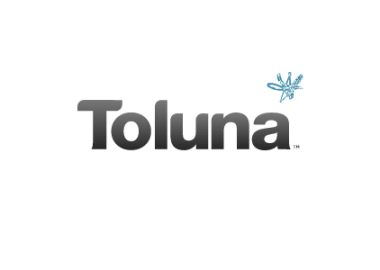 Toluna (Empfehlung)