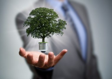 Fachkraft für erneuerbare Energien: Fernstudium, Studium, Gehalt & Perspektiven