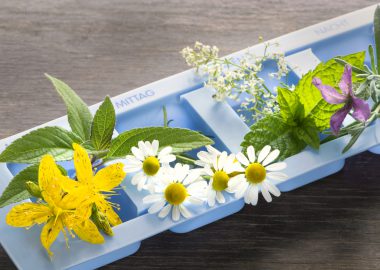 Heilpädagogik Studium: Gehalt, Ausbildung und Perspektive