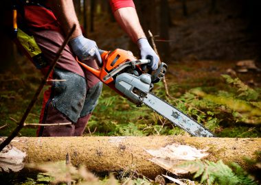 Forstwirt: Ausbildung · Gehalt · Studium · Perspektive