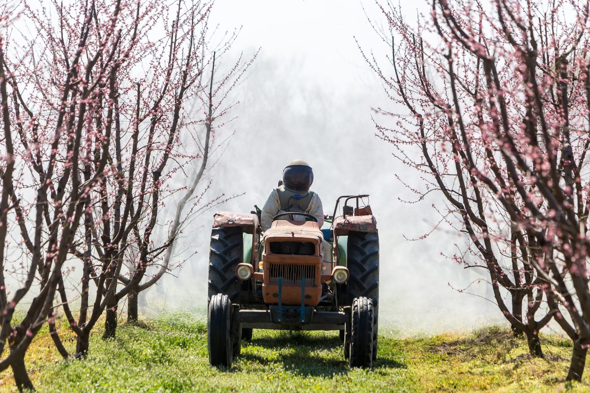 Landwirt: Ausbildung · Gehalt · Studium · Perspektive | Heimarbeit.de √