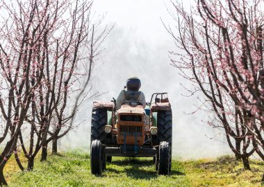 Landwirt: Ausbildung · Gehalt · Studium · Perspektive