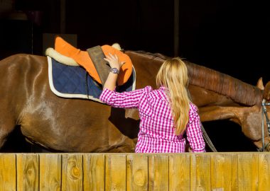 Tierwirt: Ausbildung · Gehalt · Studium · Perspektive