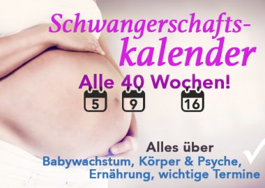 Schwangerschaftskalender: Alle 40 Wochen der Schwangerschaft