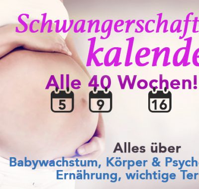 Schwangerschaftskalender: Alle 40 Wochen der Schwangerschaft