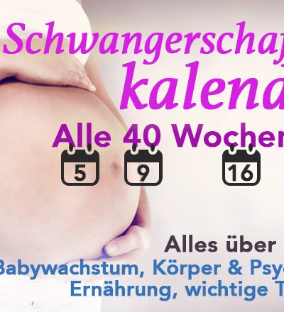 Schwangerschaftskalender: Alle 40 Wochen der Schwangerschaft