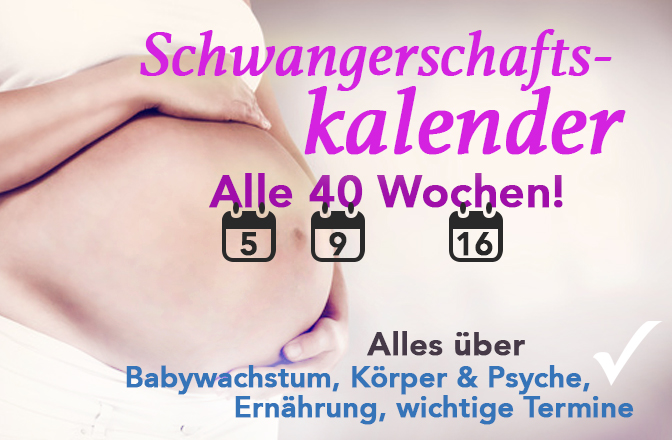 Schwangerschaftskalender: Alle 40 Wochen der Schwangerschaft