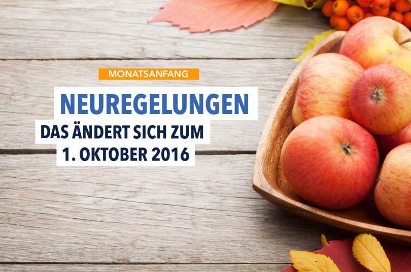 Mobilfunkvertrag, Arbeitsvertrag und Stromnetz: Das ändert sich zum 1. Oktober 2016
