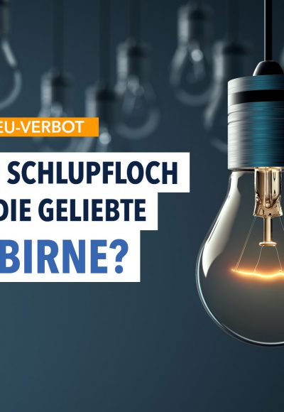 Neues Verbot –  EU kämpft gegen Glühbirnen-Trickser