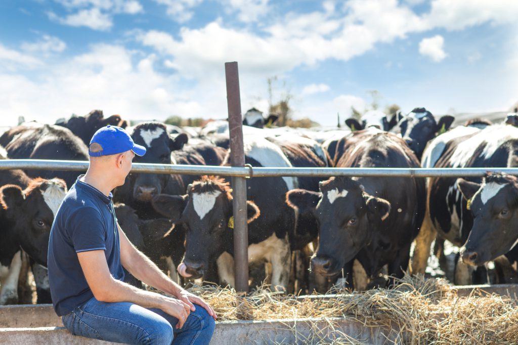 Folgt 19% Mehrwertsteuer für Fleisch, Wurst, Milch und Co