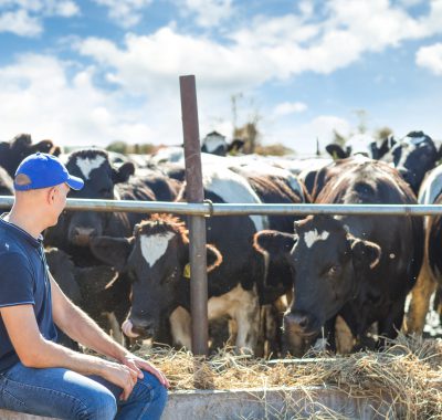 Folgt 19% Mehrwertsteuer für Fleisch, Wurst, Milch und Co.?