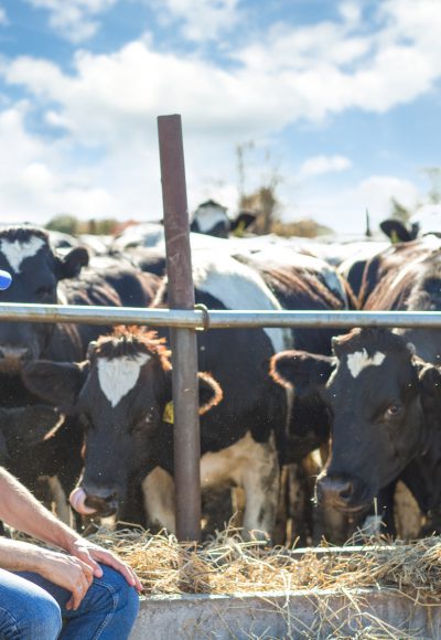 Folgt 19% Mehrwertsteuer für Fleisch, Wurst, Milch und Co.?