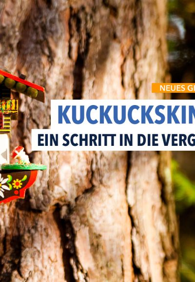 Das neue Kuckuckskind-Gesetz soll Scheinväter schützen – Zu welchem Preis?