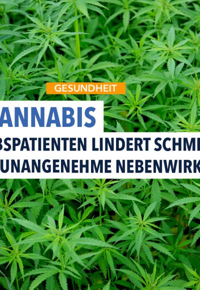 Cannabis kann sogar Krebszellen töten