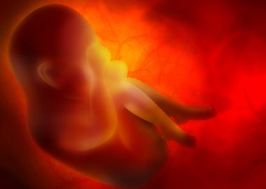Das alles bekommt das Baby in der Schwangerschaft mit!