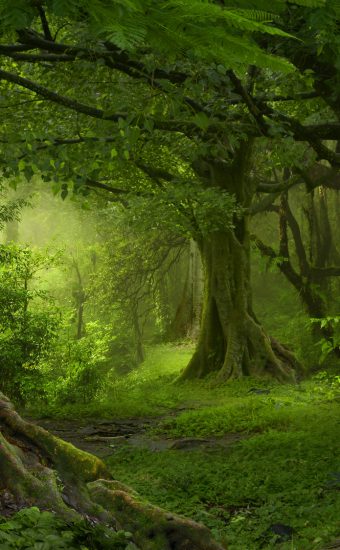 2 Jahre vermisst: Mann lebte in einer Höhle