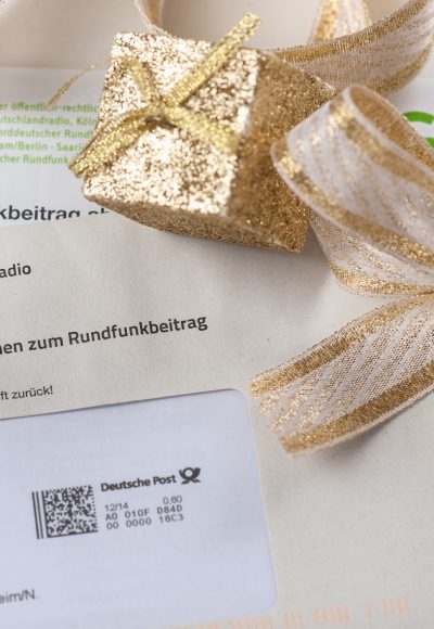 Die GEZ-LÜGE: Ein Buch für jeden Beitragszahler