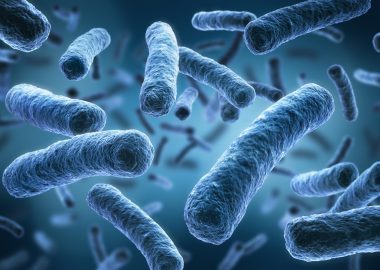 Was sind Pneumokokken? Das sollten Sie wissen!