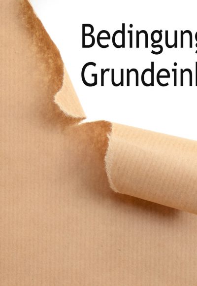 Bedingungsloses Grundeinkommen und Sozialhilfe machen international Schule