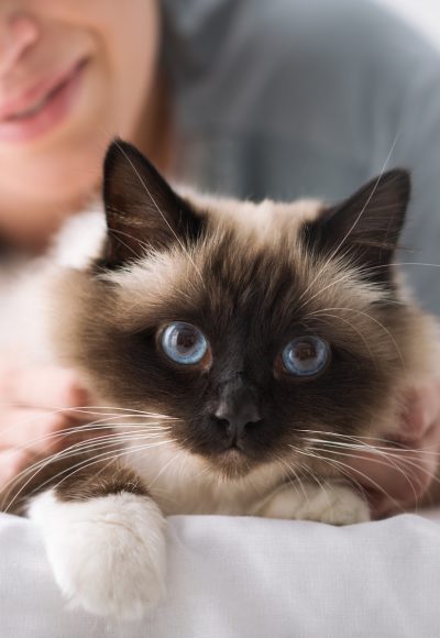 Unfassbar: Warum Katzen wirklich schnurren!