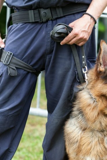 Mann fährt mit 180-Kilo-Bombe mitten durch die Stadt