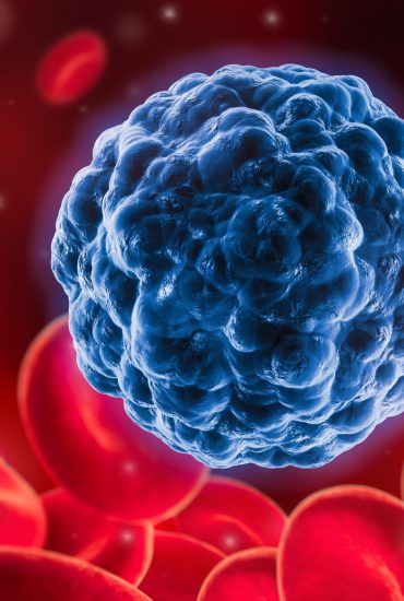 Krebs: Mediziner finden Antikörper
