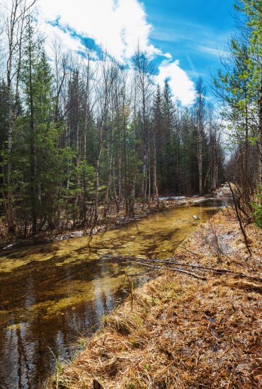 Fünf Tage lang irrte dieser 4-Jährige durch Russlands Wildnis