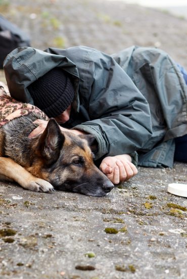 Obdachlose mit Hunden: Werden die Vierbeiner betäubt?