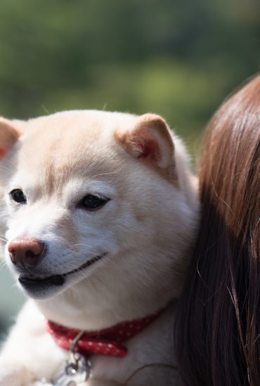 Hund beschützt Frauchen vor Perversem!