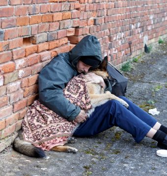 Obdachloser (58) verzweifelt: Unbekannte entführten seine Hündin 