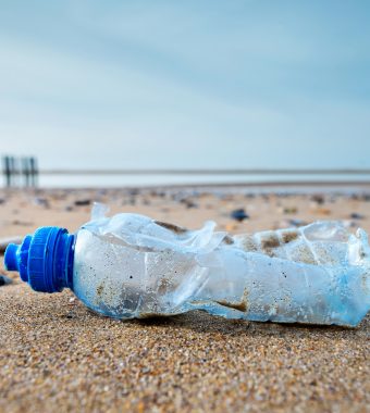 2030: Das Ende der Einwegflasche rückt näher!