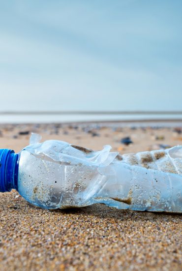 2030: Das Ende der Einwegflasche rückt näher!