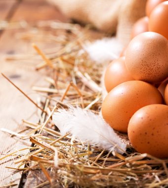 Rückruf: Salmonellen in zahlreichen Eiern gefunden!