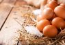 Rückruf: Salmonellen in zahlreichen Eiern gefunden!